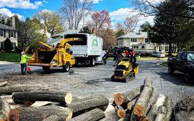 Trusted Peru, IN Tree Care Experts